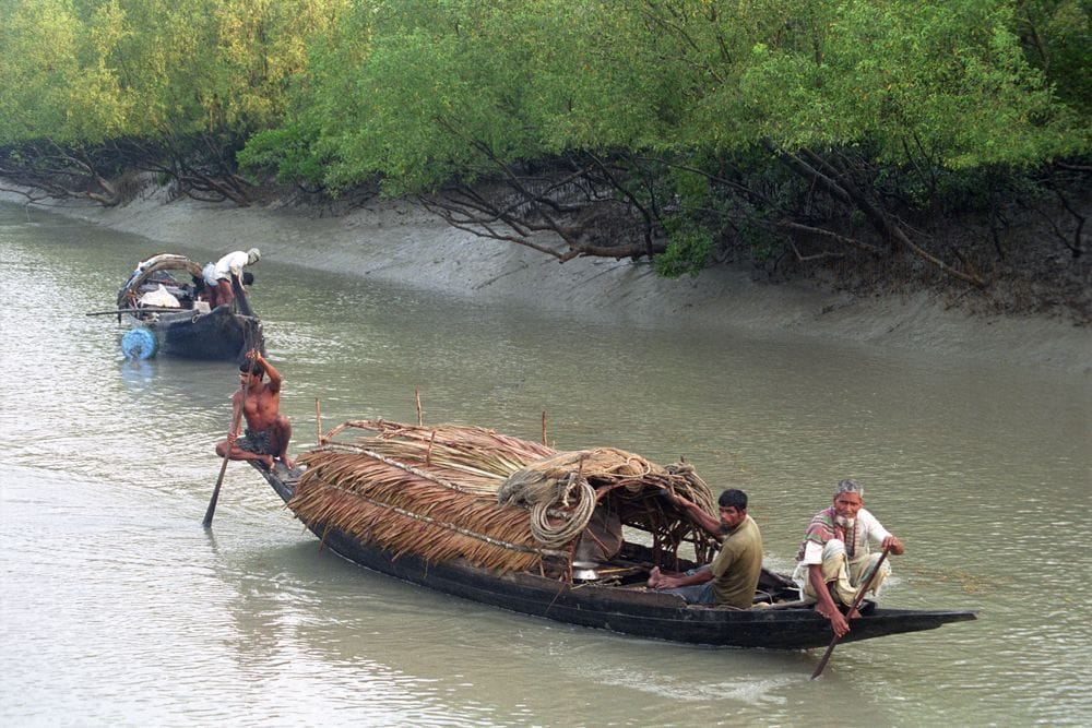 সংকটে সুন্দরবন ও উপকূলের জীবন-জীবিকা