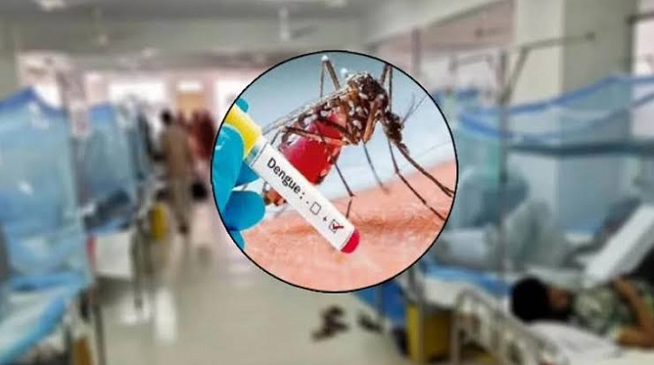 ডেঙ্গুতে আরও ৩ জনের মৃত্যু, হাসপাতালে নতুন ভর্তি ১২৬২