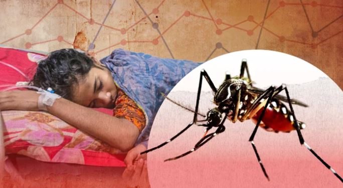 ডেঙ্গুতে আরও একজনের মৃত্যু, হাসপাতালে ভর্তি ১৬৩৩