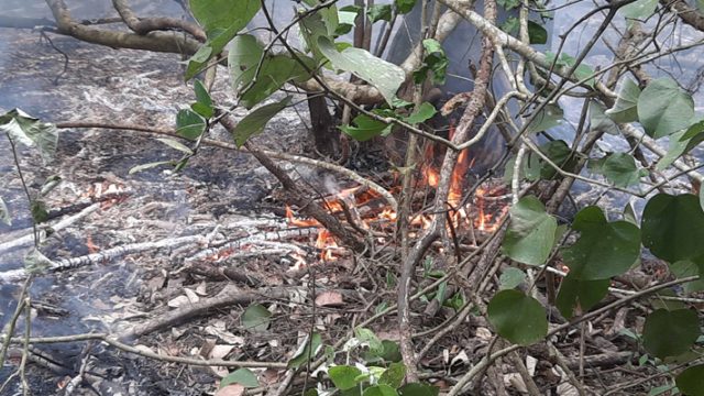 সুন্দরবনে এখনো দাউদাউ আগুন, ভাটার টানে নদীতে পানির সংকট